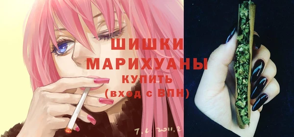 сатива Вязьма