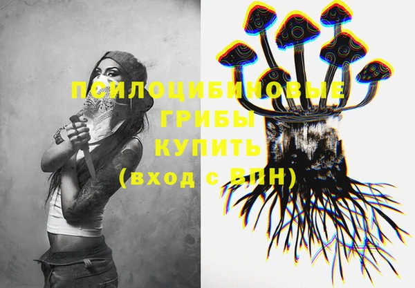 прущий лед Вяземский