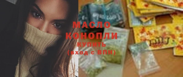 прущий лед Вяземский