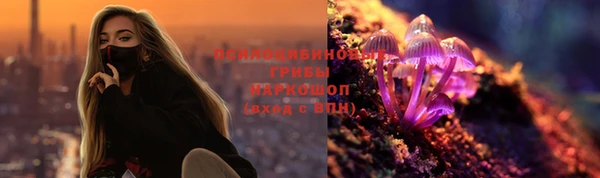 сатива Вязьма