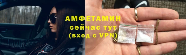 сатива Вязьма