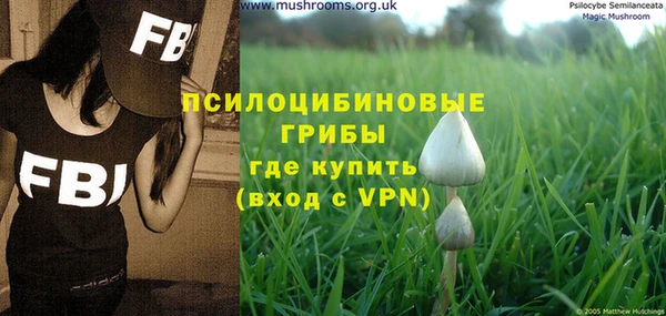 прущий лед Вяземский