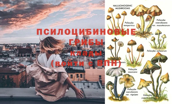 сатива Вязьма