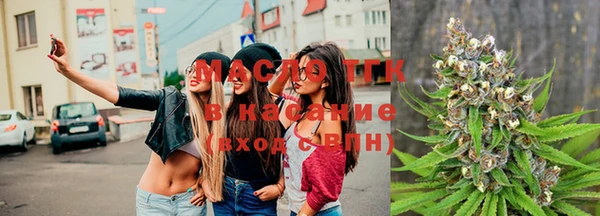 сатива Вязьма