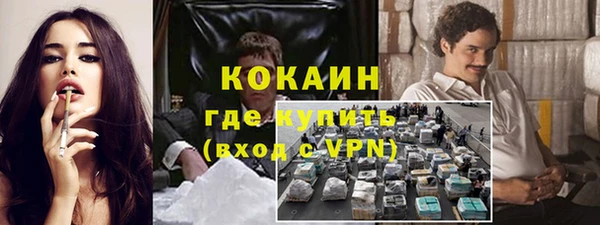 прущий лед Вяземский